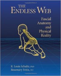 The Endless Web