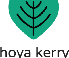 hoya kerry